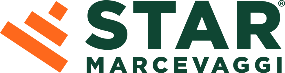 Logo STAR